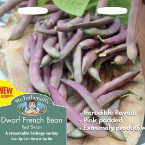 Mr Fothergills Dwarf French Bean Red Swan 100 Seeds