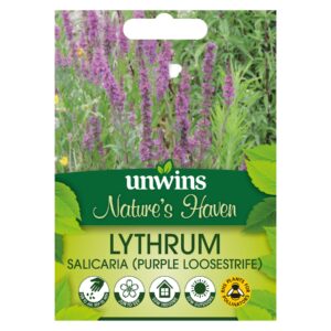 Unwins Flower Native British Isles Wildflower Purple Loosestrife - 500 Seeds