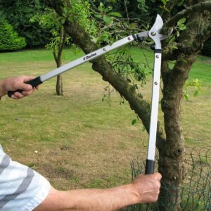 Darlac DP1020 Expert Bypass Lopper Cut Capacity 40mm UK SHIPPING ONLY
