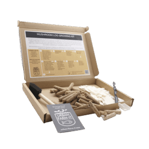 Mushroom Turkey Tail Mushroom Log Growing Kit Gift Pack