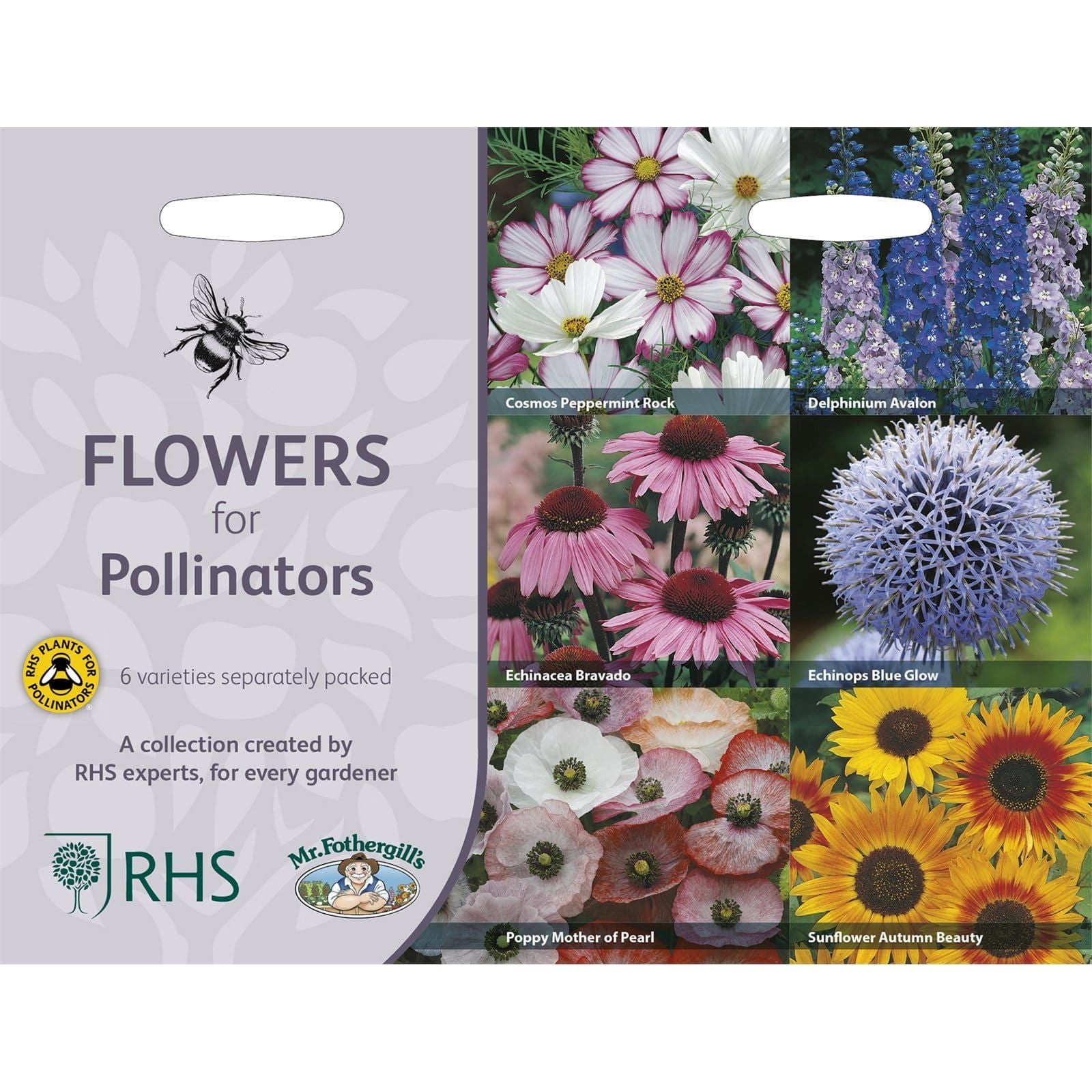 RHS_Flowers_For_Pollinators_Collection_comp_2cde6420-32a7-4640-967f-eb7624a69bd1.jpg