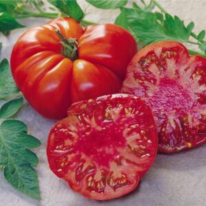 Tomato Tomande F1 Hybrid Seeds