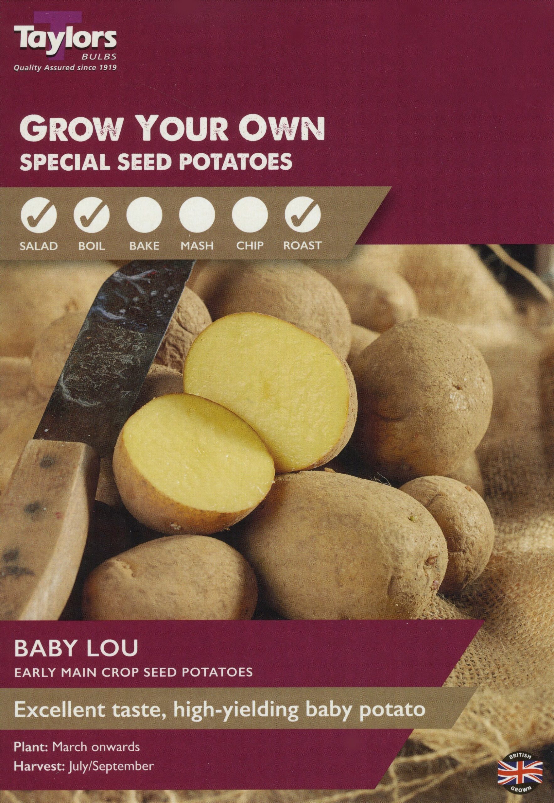 VP409BabyLou-scaled-1.jpg