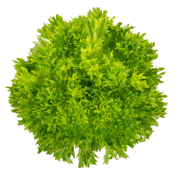 acur1.png