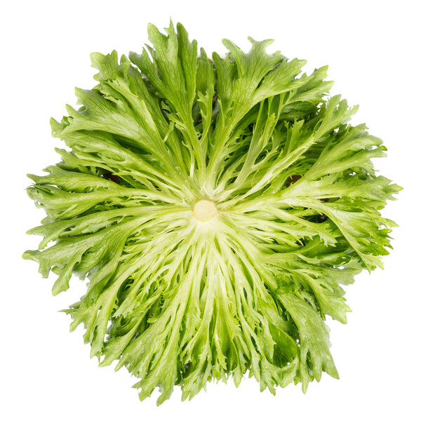 acur3.png