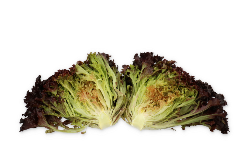 audex2.png