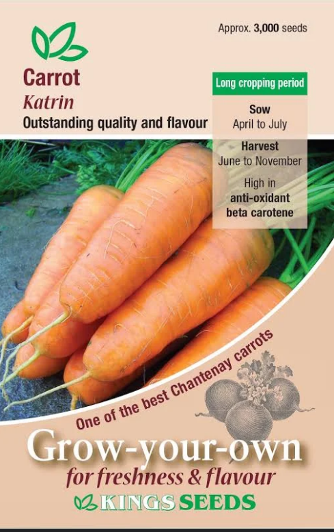 carrotkatrin.png