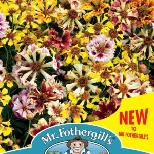 Mr Fothergills - Flower - Coreopsis - Incredible! - Swirl - 200 Seeds