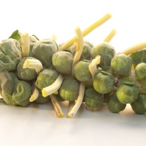 Suffolk Herbs Organic Brussels Sprout Nautic F1 Seeds