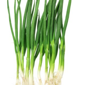 Spring Onion White Lisbon Winter Hardy Seeds