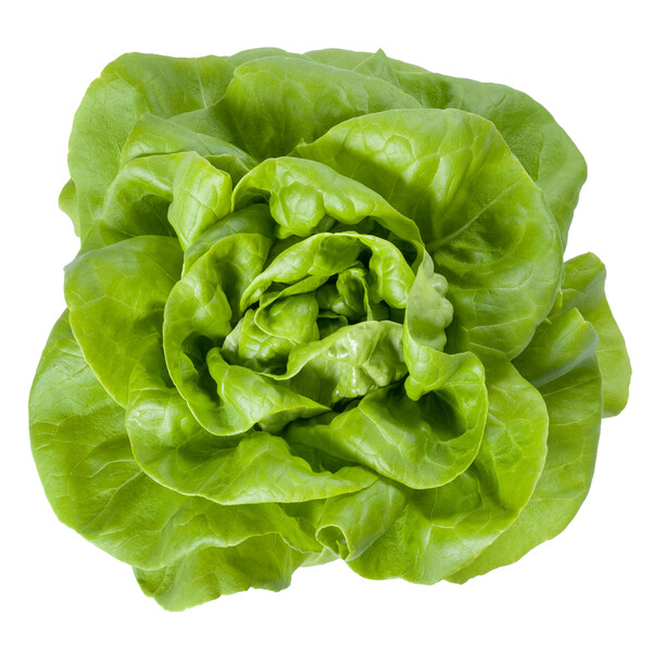 duka1.png