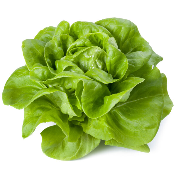 duka2.png