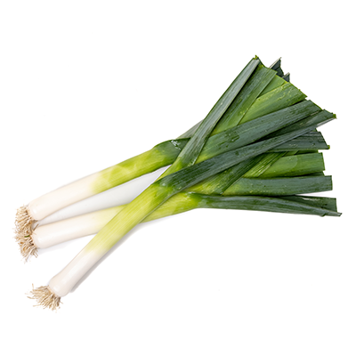 floc1.png