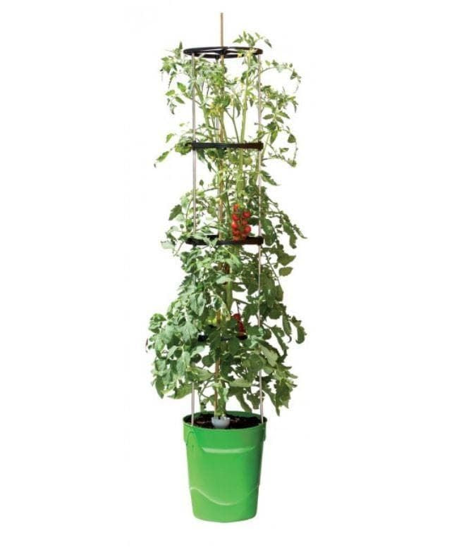 growpot3_comp_97848135-b0b2-4210-8af6-9b8452258b85.jpg