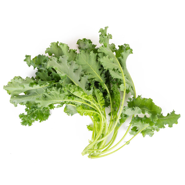 kari1.png